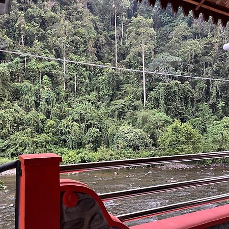 Ridho'S Homestay & Jungle Trekking 부킷 라왕 외부 사진