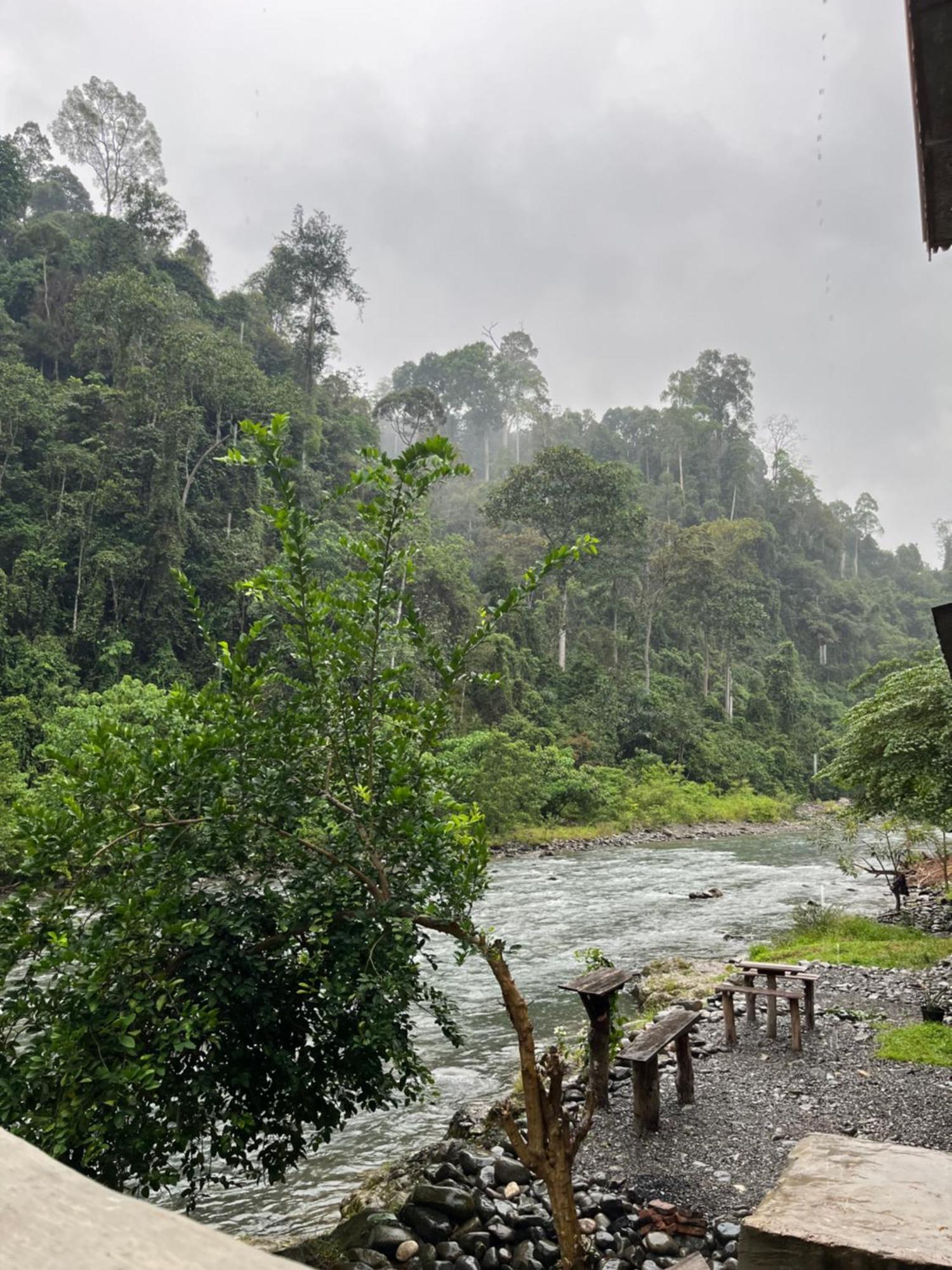 Ridho'S Homestay & Jungle Trekking 부킷 라왕 외부 사진