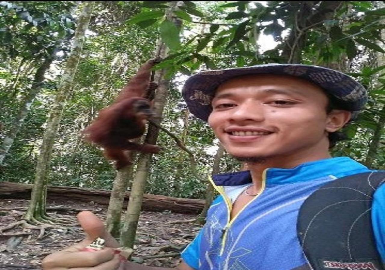 Ridho'S Homestay & Jungle Trekking 부킷 라왕 외부 사진