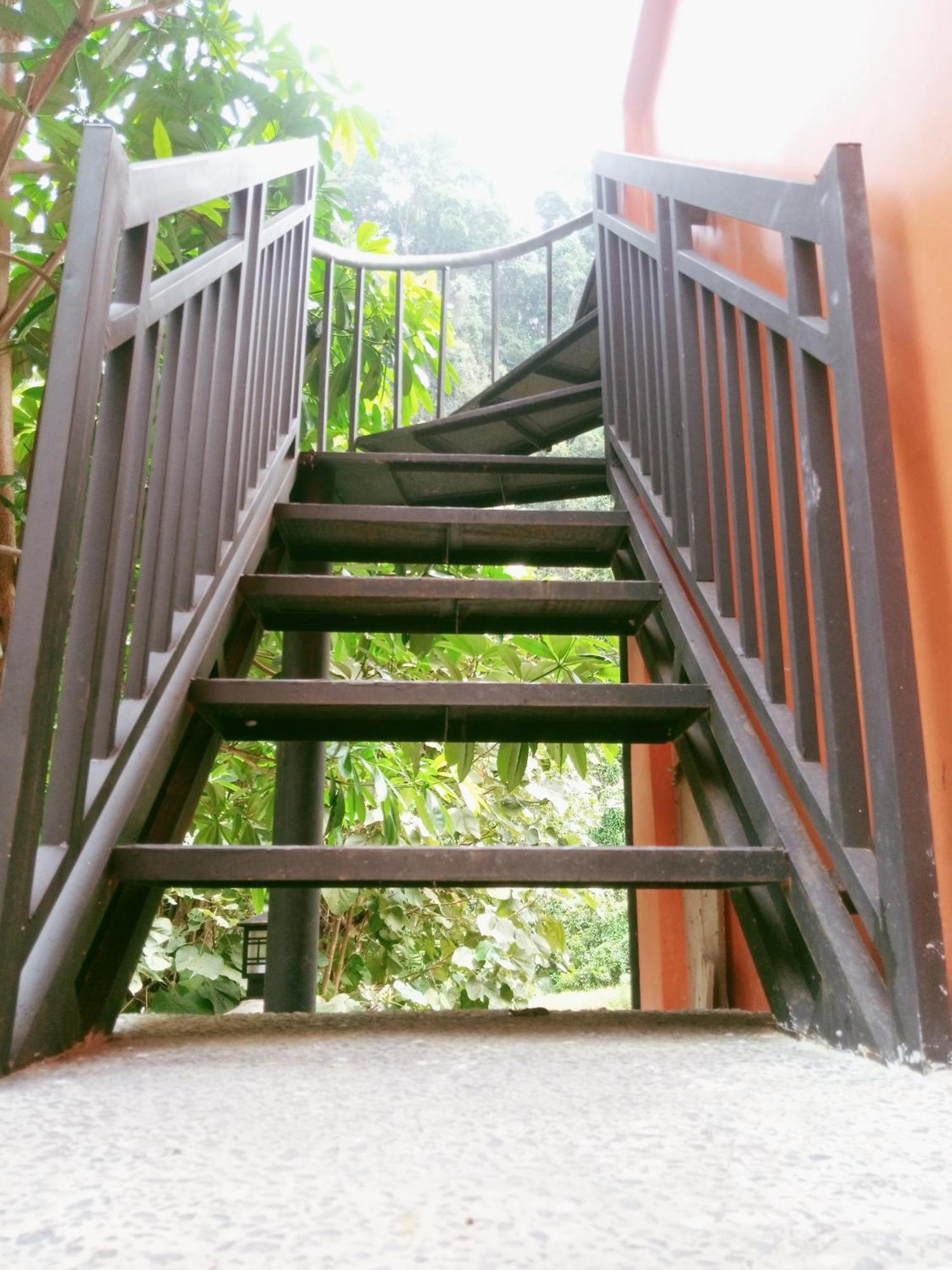 Ridho'S Homestay & Jungle Trekking 부킷 라왕 외부 사진