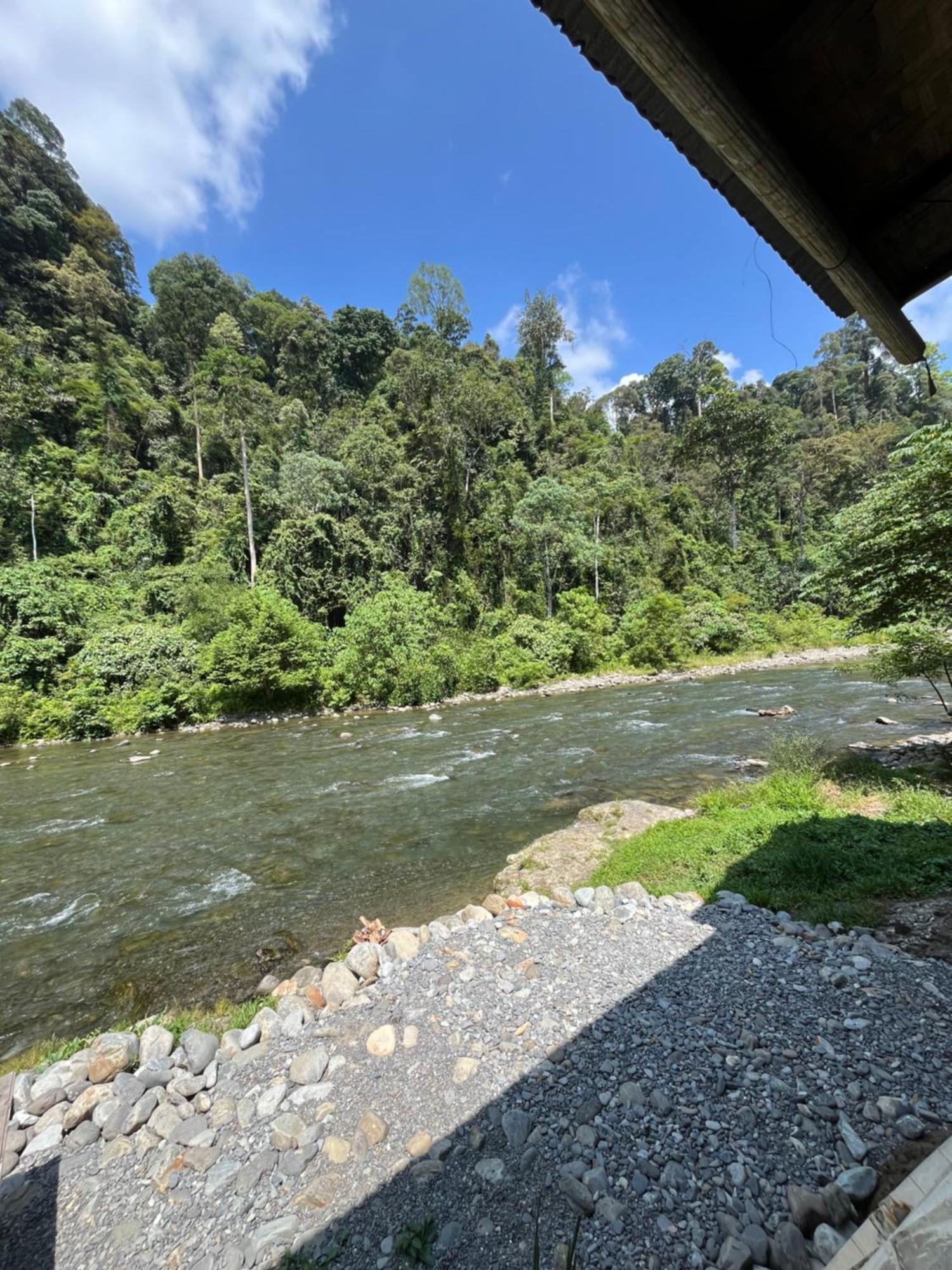 Ridho'S Homestay & Jungle Trekking 부킷 라왕 외부 사진