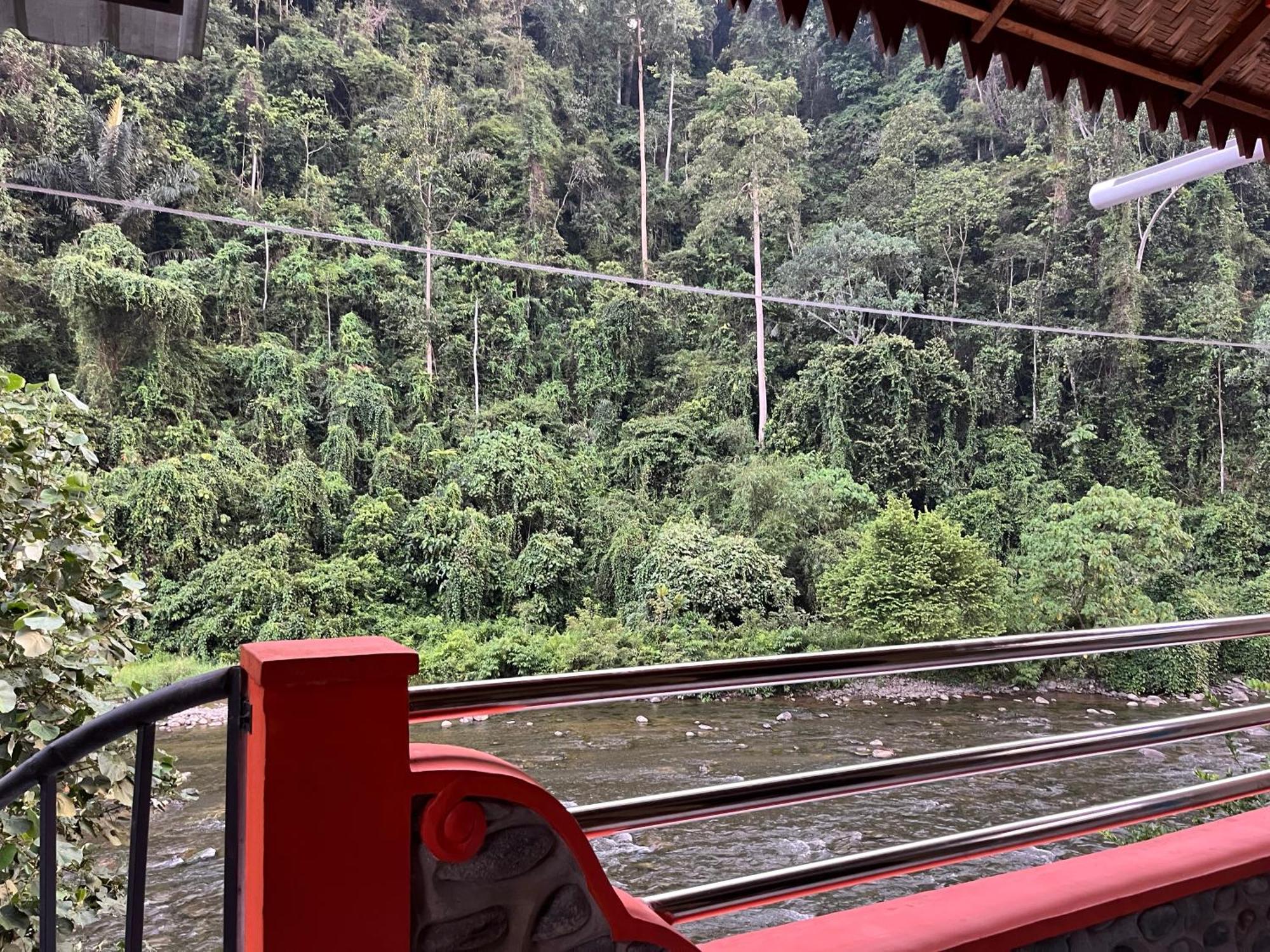 Ridho'S Homestay & Jungle Trekking 부킷 라왕 외부 사진
